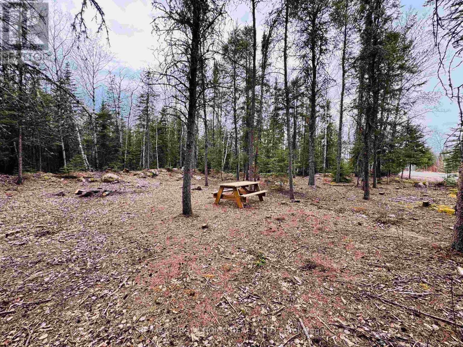 1,2,4,5 Bennett Drive /mcmanus Street, Red Lake, Ontario  P0V 1C0 - Photo 2 - X13250988