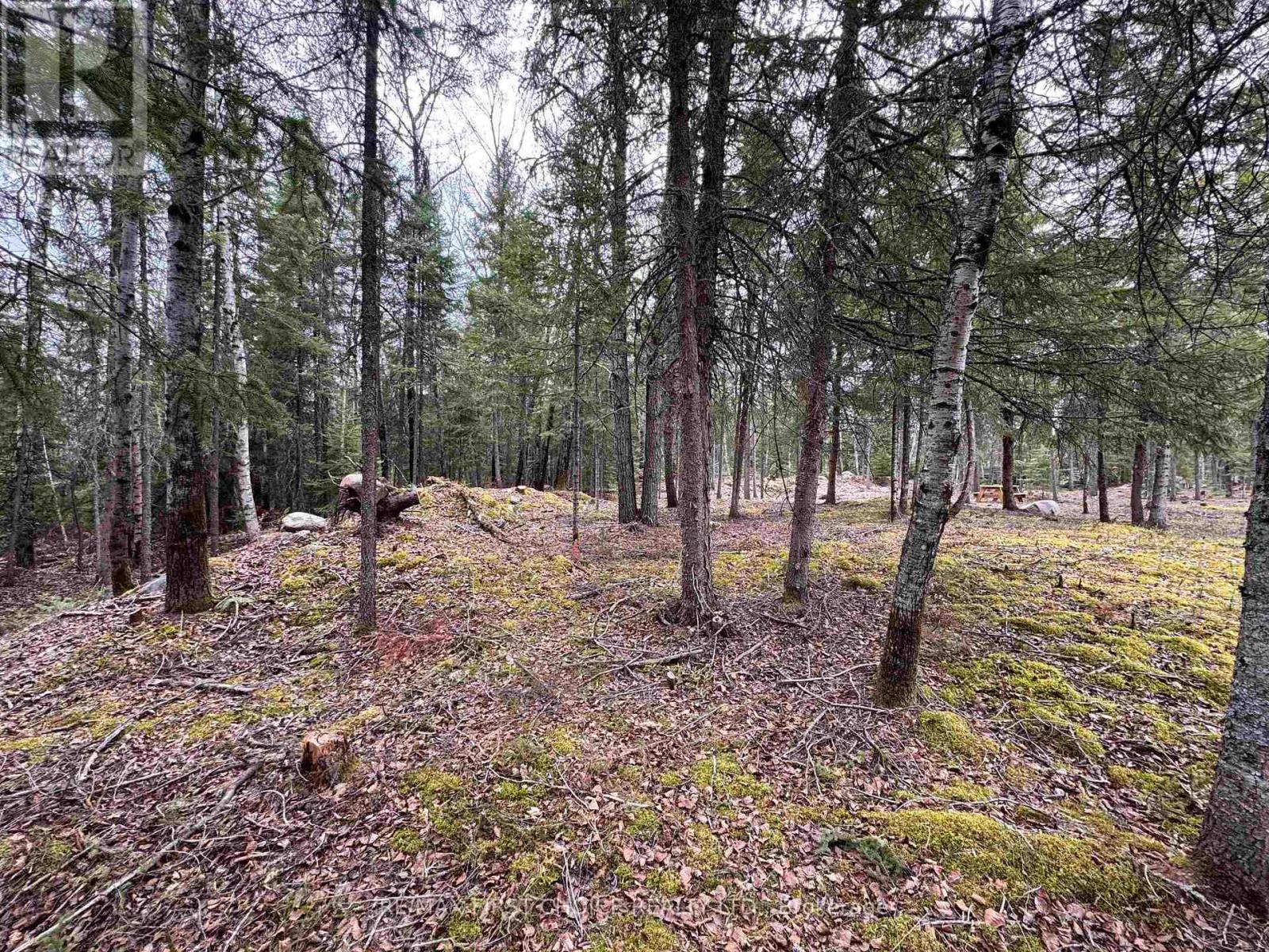 1,2,4,5 Bennett Drive /mcmanus Street, Red Lake, Ontario  P0V 1C0 - Photo 6 - X13250988