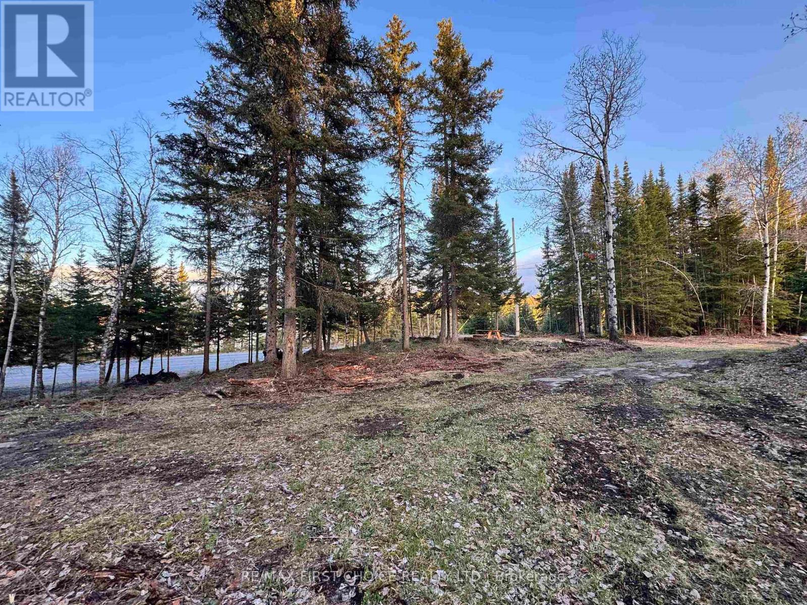 1,2,4,5 Bennett Drive /mcmanus Street, Red Lake, Ontario  P0V 1C0 - Photo 8 - X13250988