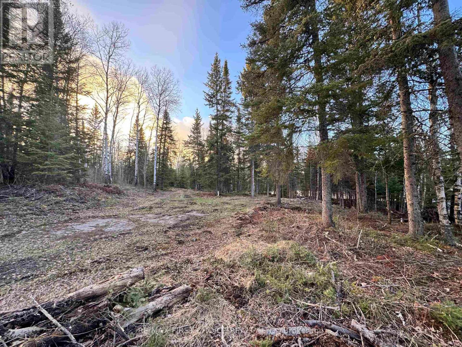 1,2,4,5 Bennett Drive /mcmanus Street, Red Lake, Ontario  P0V 1C0 - Photo 11 - X13250988