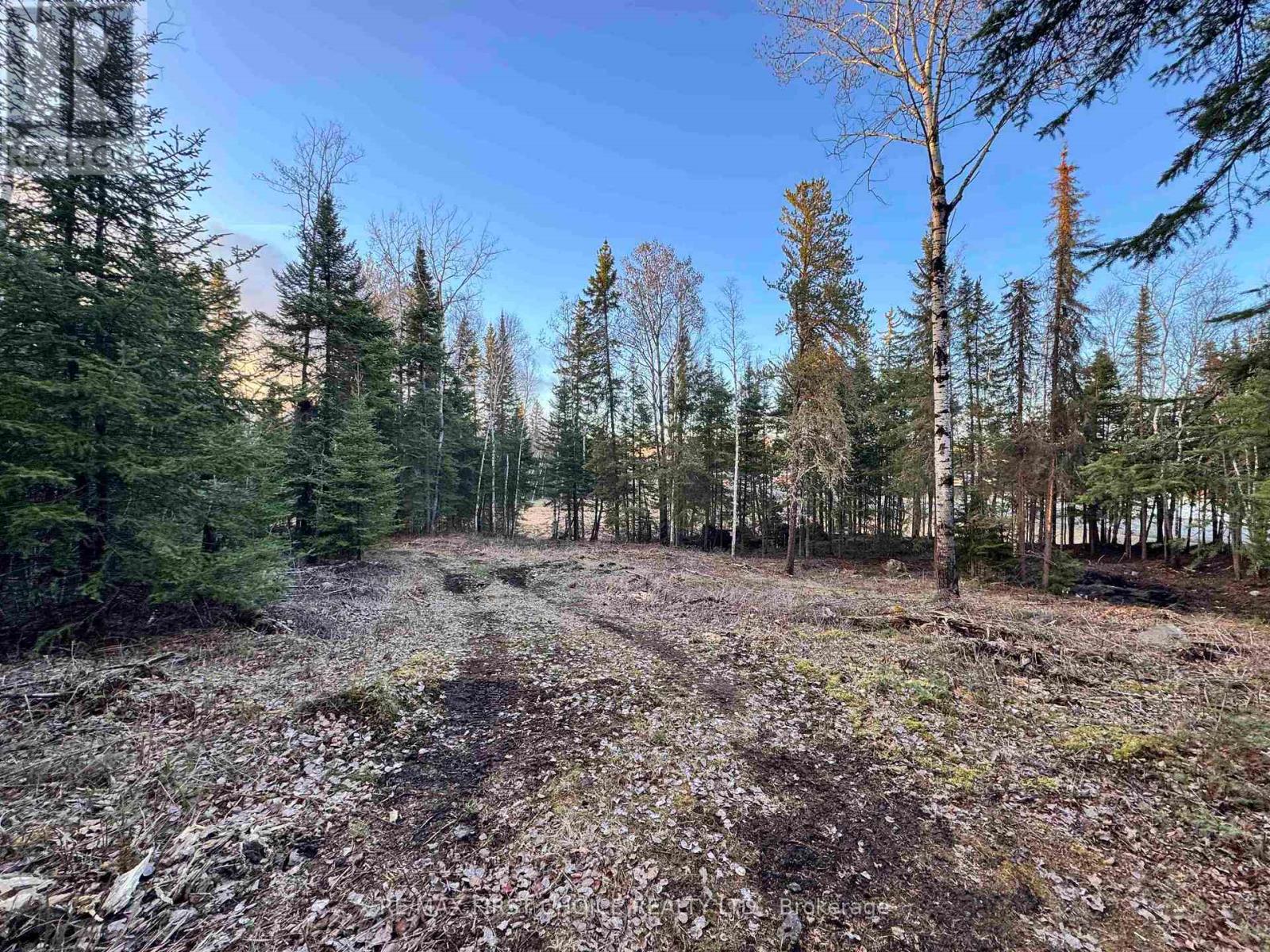 1,2,4,5 Bennett Drive /mcmanus Street, Red Lake, Ontario  P0V 1C0 - Photo 10 - X13250988
