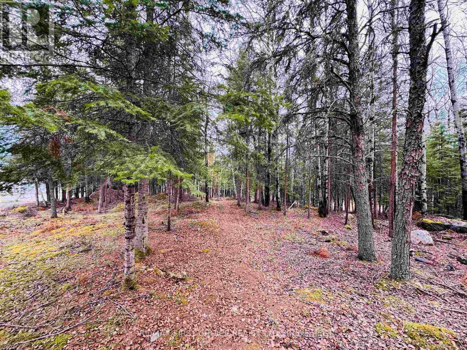 1,2,4,5 Bennett Drive /mcmanus Street, Red Lake, Ontario  P0V 1C0 - Photo 4 - X13250988