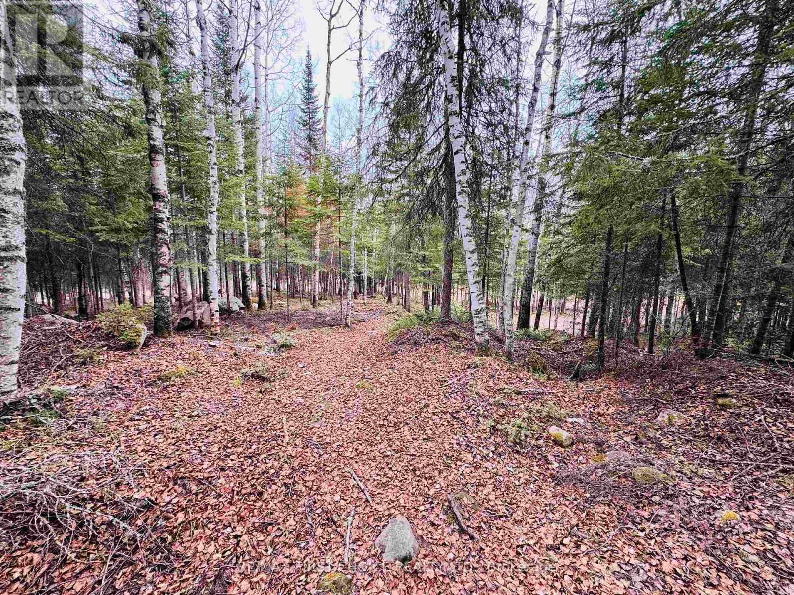 1,2,4,5 Bennett Drive /mcmanus Street, Red Lake, Ontario  P0V 1C0 - Photo 5 - X13250988