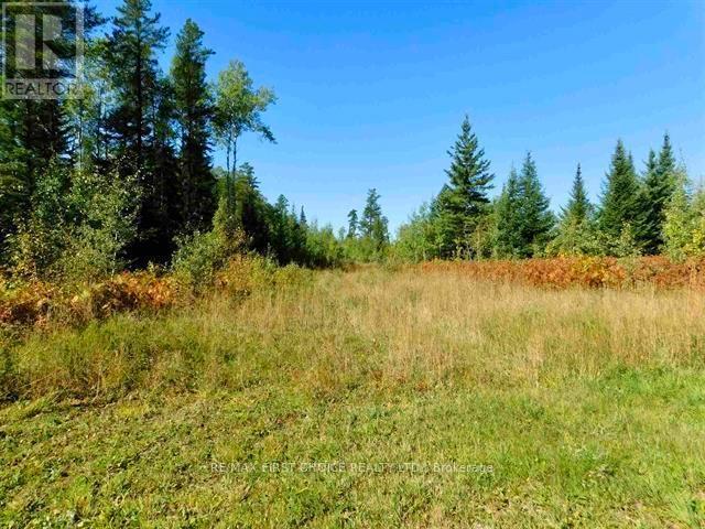 0 Chavall Road, Machin, Ontario  P8N 2E0 - Photo 16 - X13255878
