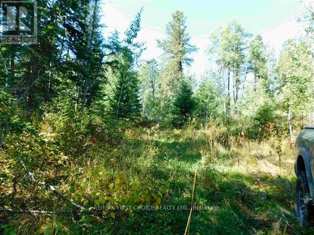 0 Chavall Road, Machin, Ontario  P8N 2E0 - Photo 20 - X13255878