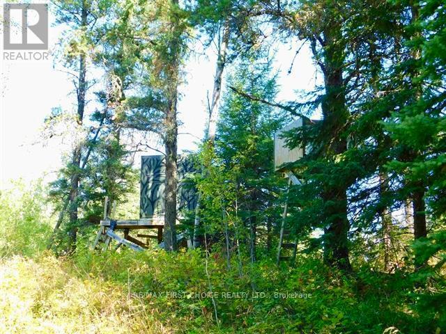 0 Chavall Road, Machin, Ontario  P8N 2E0 - Photo 22 - X13255878
