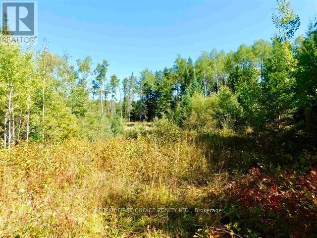 0 Chavall Road, Machin, Ontario  P8N 2E0 - Photo 24 - X13255878