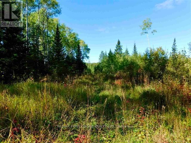 0 Chavall Road, Machin, Ontario  P8N 2E0 - Photo 17 - X13255878
