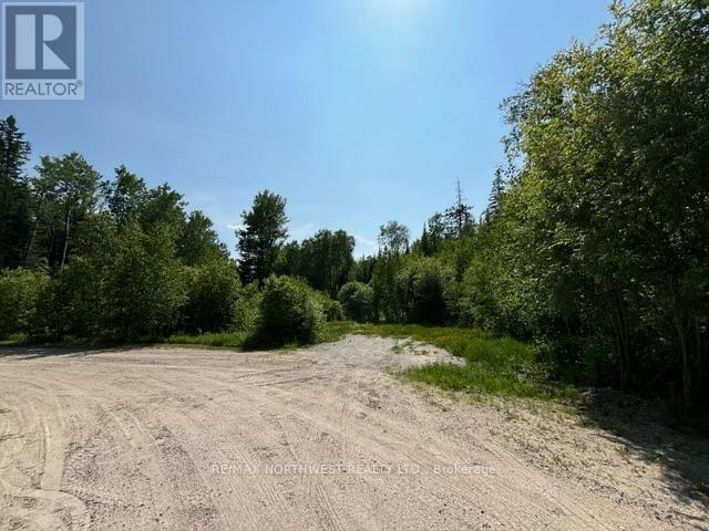 3 Battigelli Drive, Kenora, Ontario  P9N 4P2 - Photo 8 - X13250886