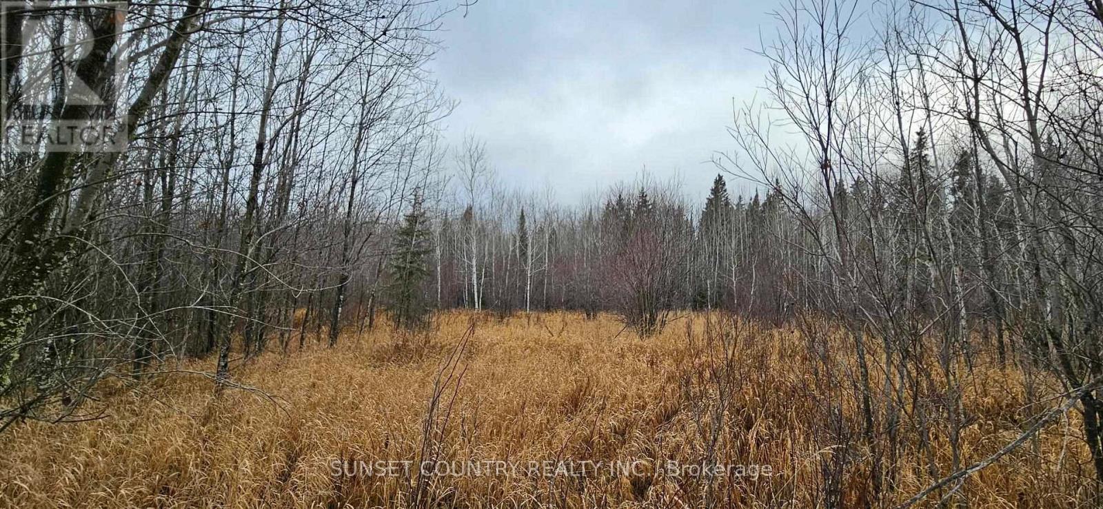 Pin #420950063 Hwy 17 N, Kenora Remote Area, Ontario  P0V 1P0 - Photo 3 - X13266706