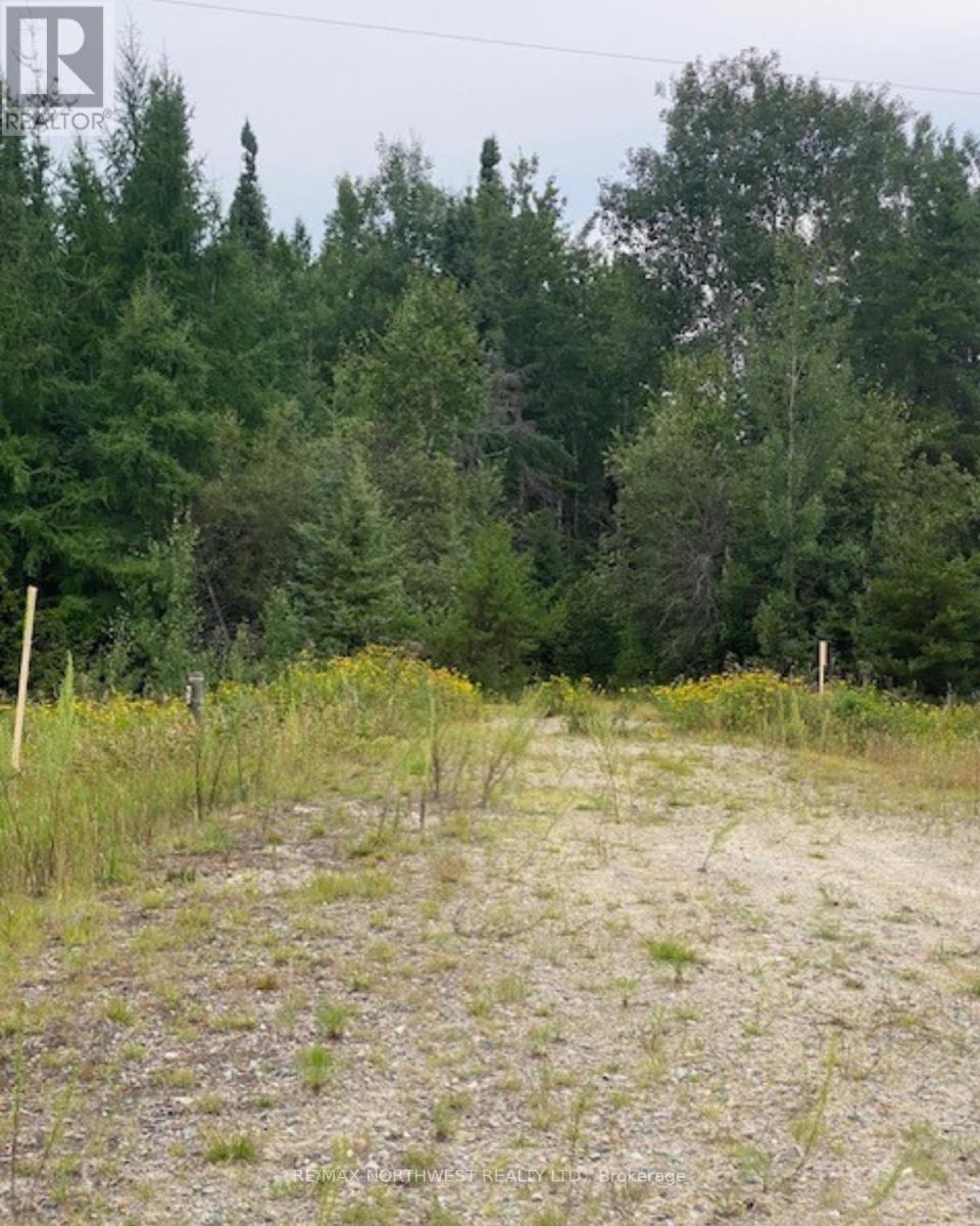 Gaye Street, Kenora, Ontario  P9N 0A8 - Photo 13 - X13256982