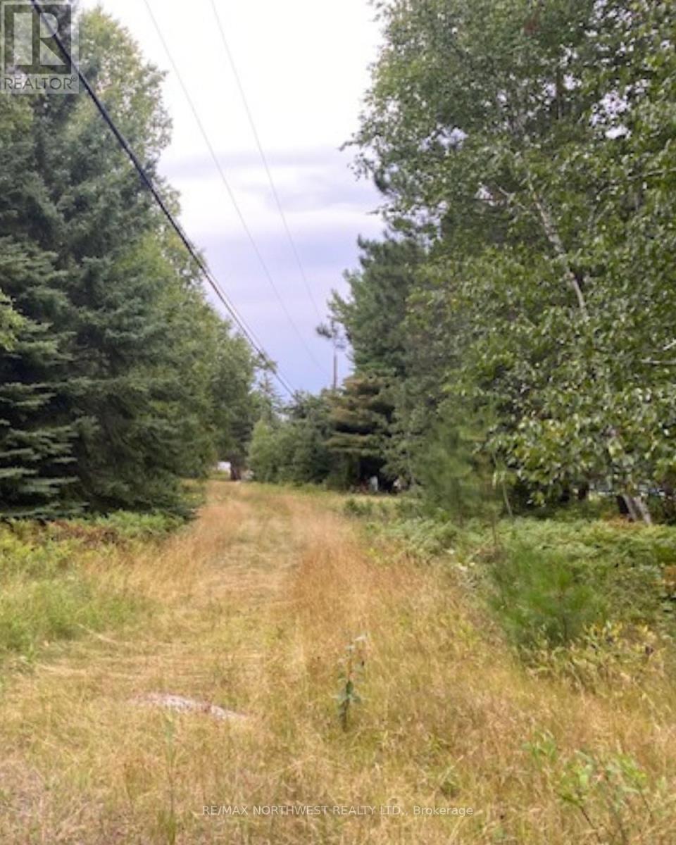 Gaye Street, Kenora, Ontario  P9N 0A8 - Photo 2 - X13256982