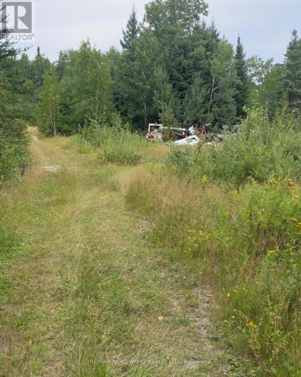 Gaye Street, Kenora, Ontario  P9N 0A8 - Photo 6 - X13256982
