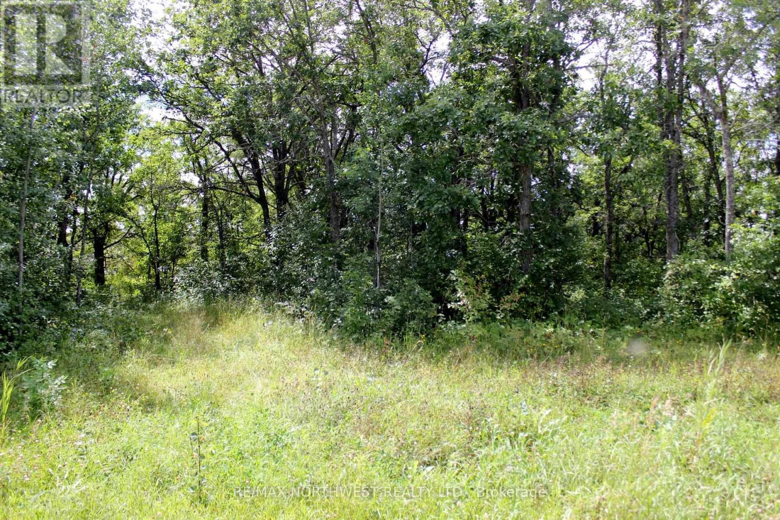 222 Morrison Rd, Lake Of The Woods, Ontario  P0W 1J0 - Photo 14 - X13413986