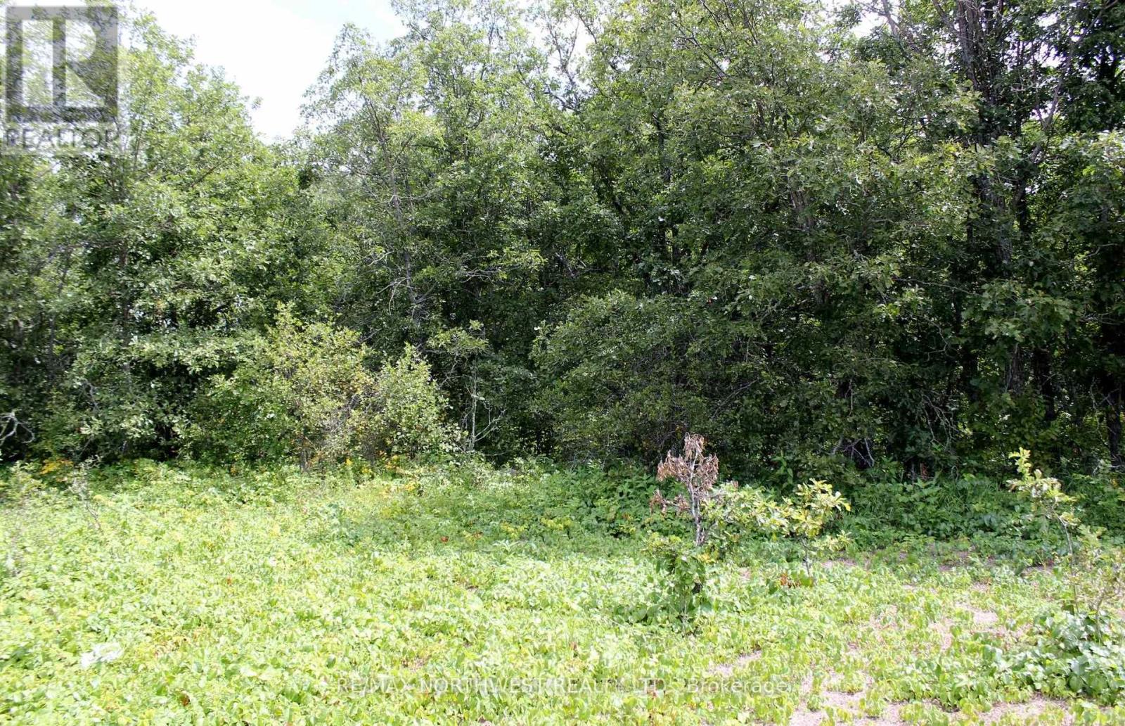 222 Morrison Rd, Lake Of The Woods, Ontario  P0W 1J0 - Photo 21 - X13413986