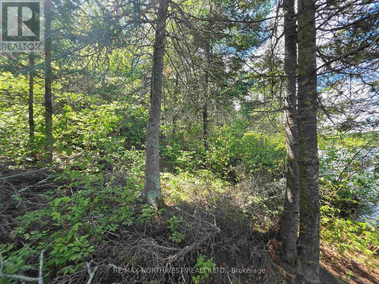 Lot 24 2467 Pipestone Peninsula, Sioux Narrows-Nestor Falls, Ontario  P0C 1N0 - Photo 16 - X13428006
