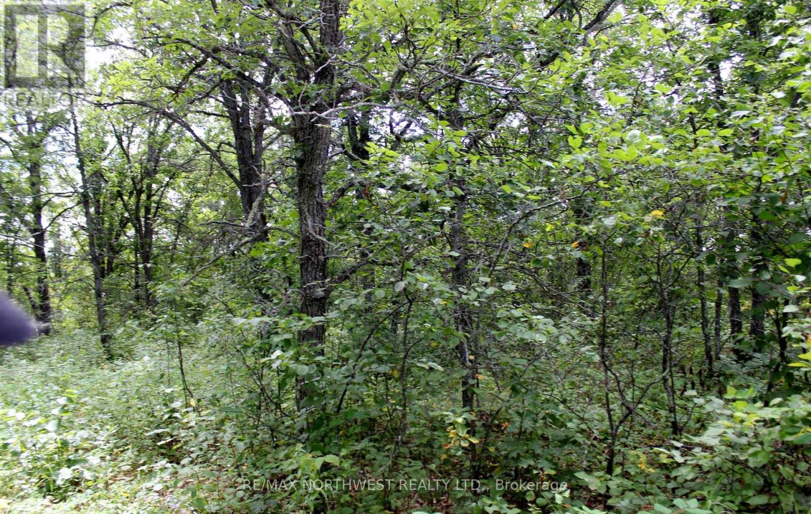 222 Morrison Rd, Lake Of The Woods, Ontario  P0W 1J0 - Photo 17 - X13413986