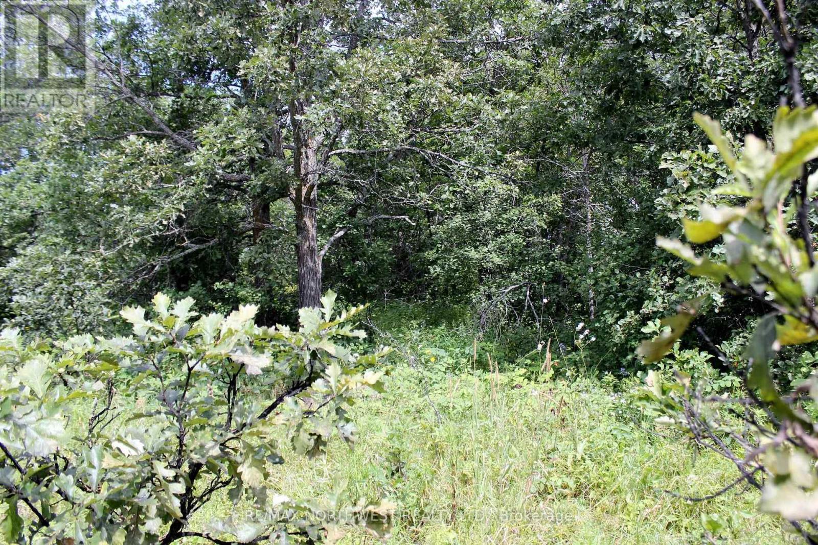 222 Morrison Rd, Lake Of The Woods, Ontario  P0W 1J0 - Photo 22 - X13413986
