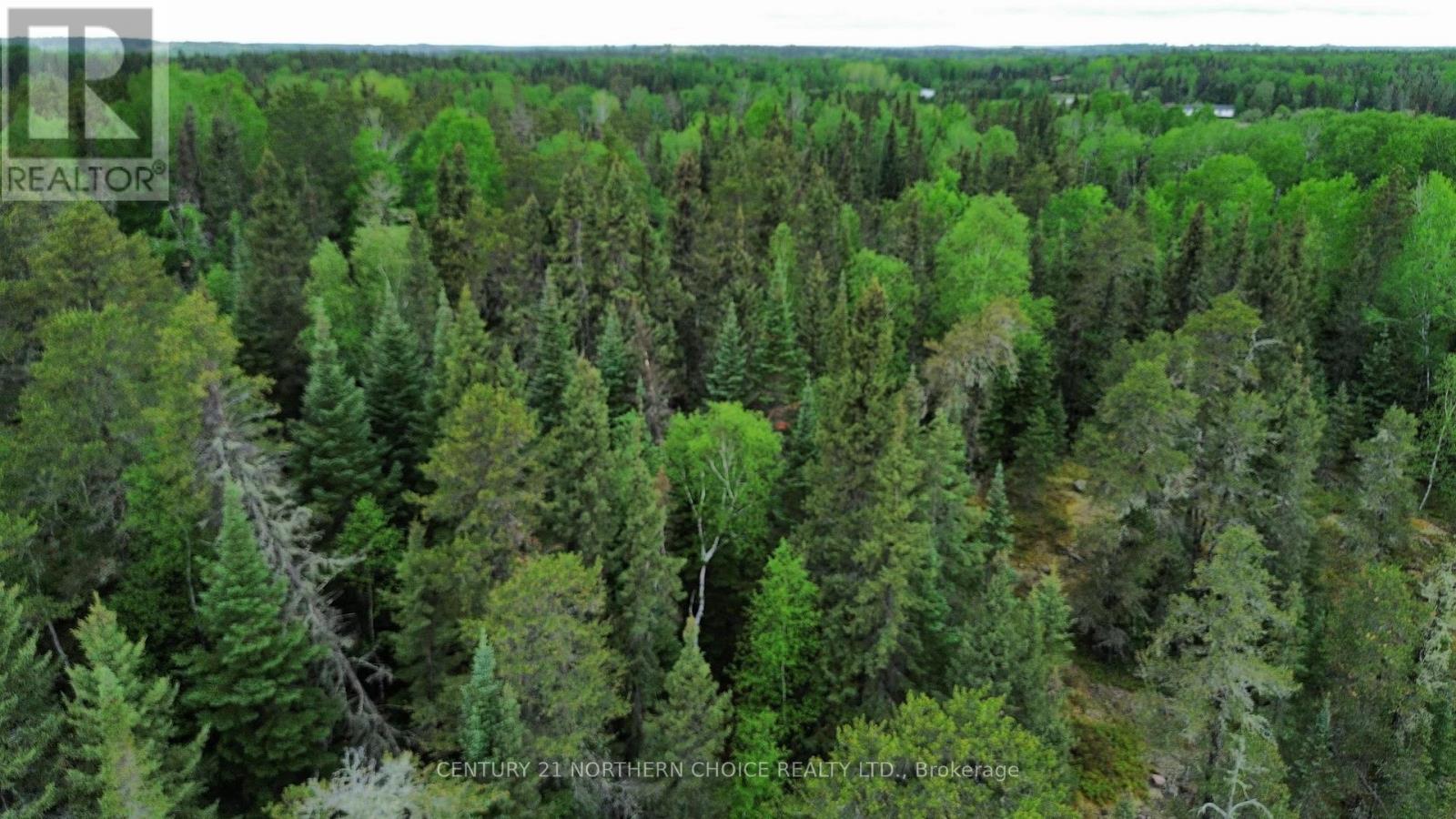 Lot 5 Eagle Bay Road, Kenora, Ontario  P9N 4L3 - Photo 6 - X13414446