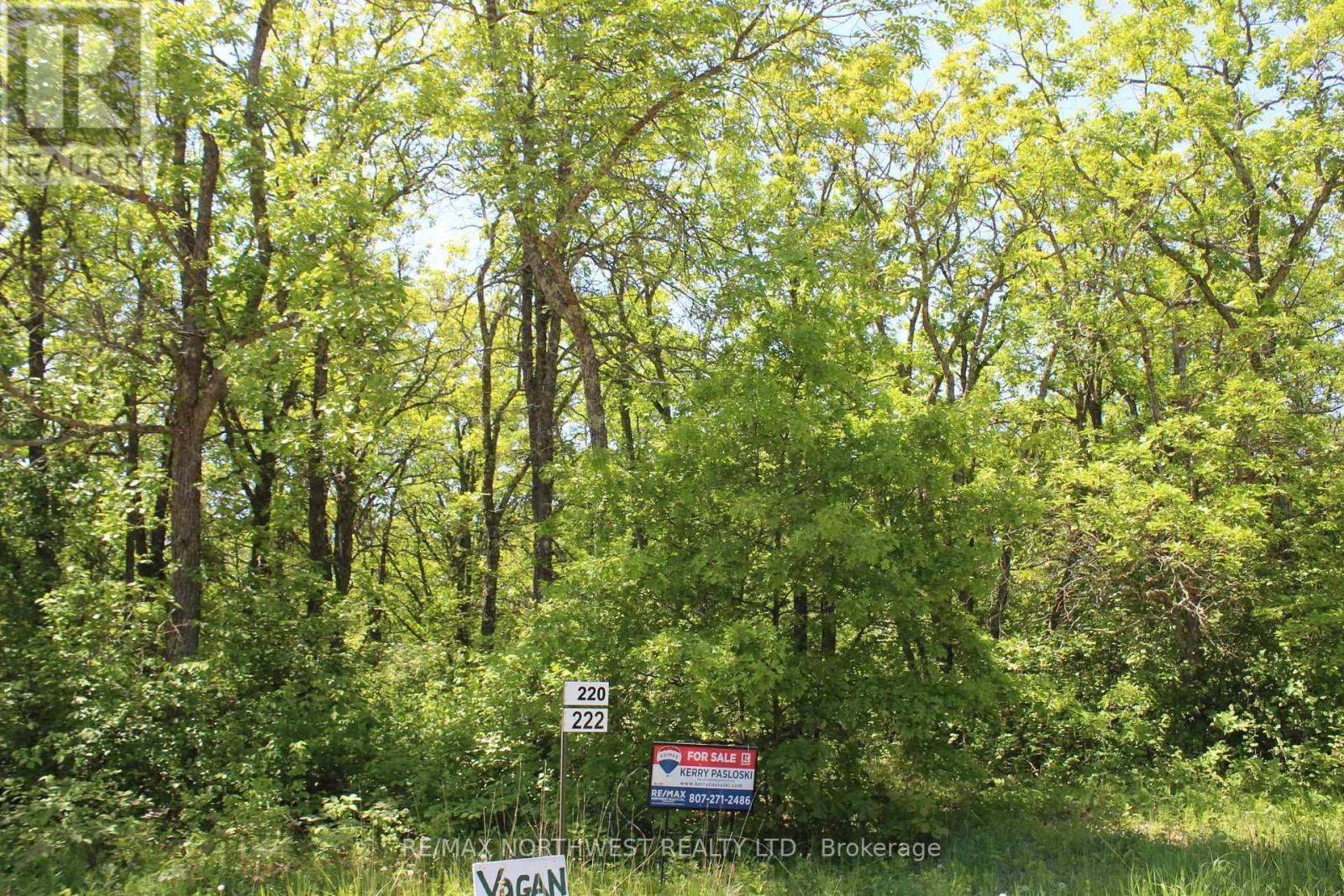 222 Morrison Rd, Lake Of The Woods, Ontario  P0W 1J0 - Photo 33 - X13413986