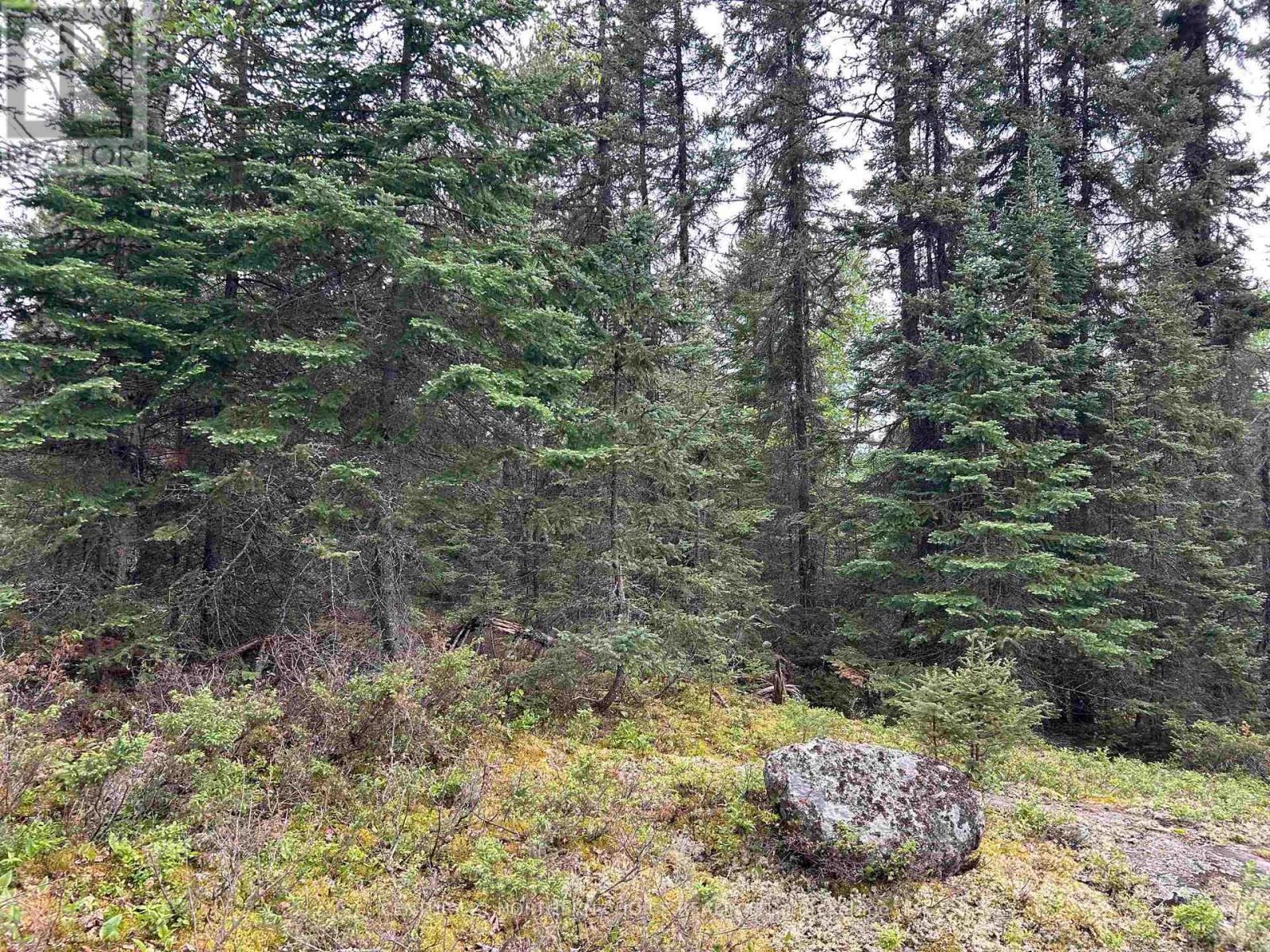 Lot 5 Eagle Bay Road, Kenora, Ontario  P9N 4L3 - Photo 17 - X13414446