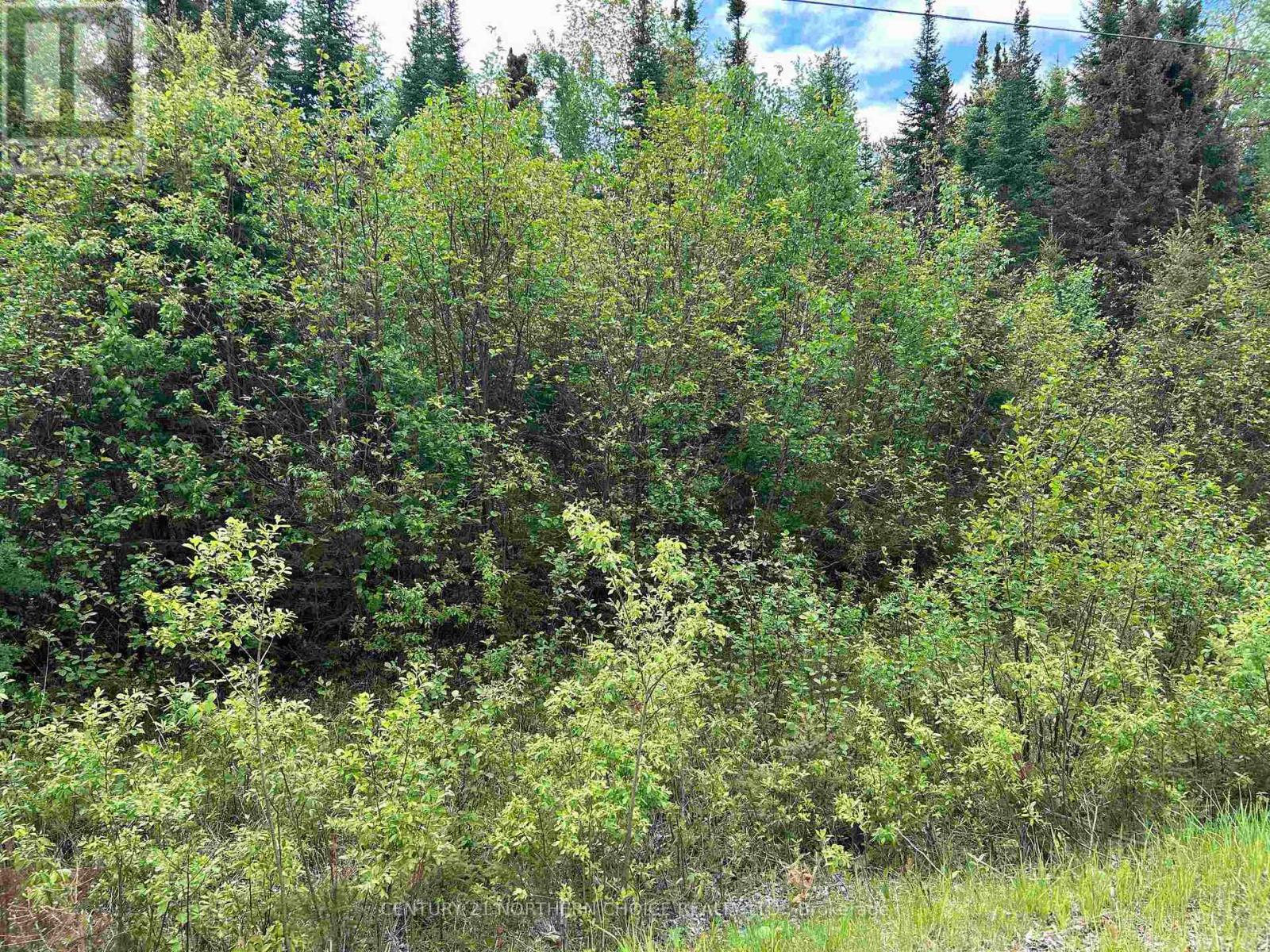 Lot 5 Eagle Bay Road, Kenora, Ontario  P9N 4L3 - Photo 8 - X13414446