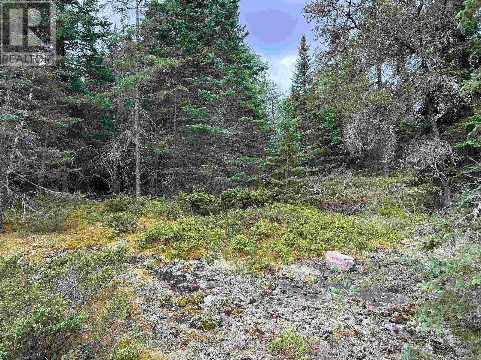 Lot 5 Eagle Bay Road, Kenora, Ontario  P9N 4L3 - Photo 12 - X13414446