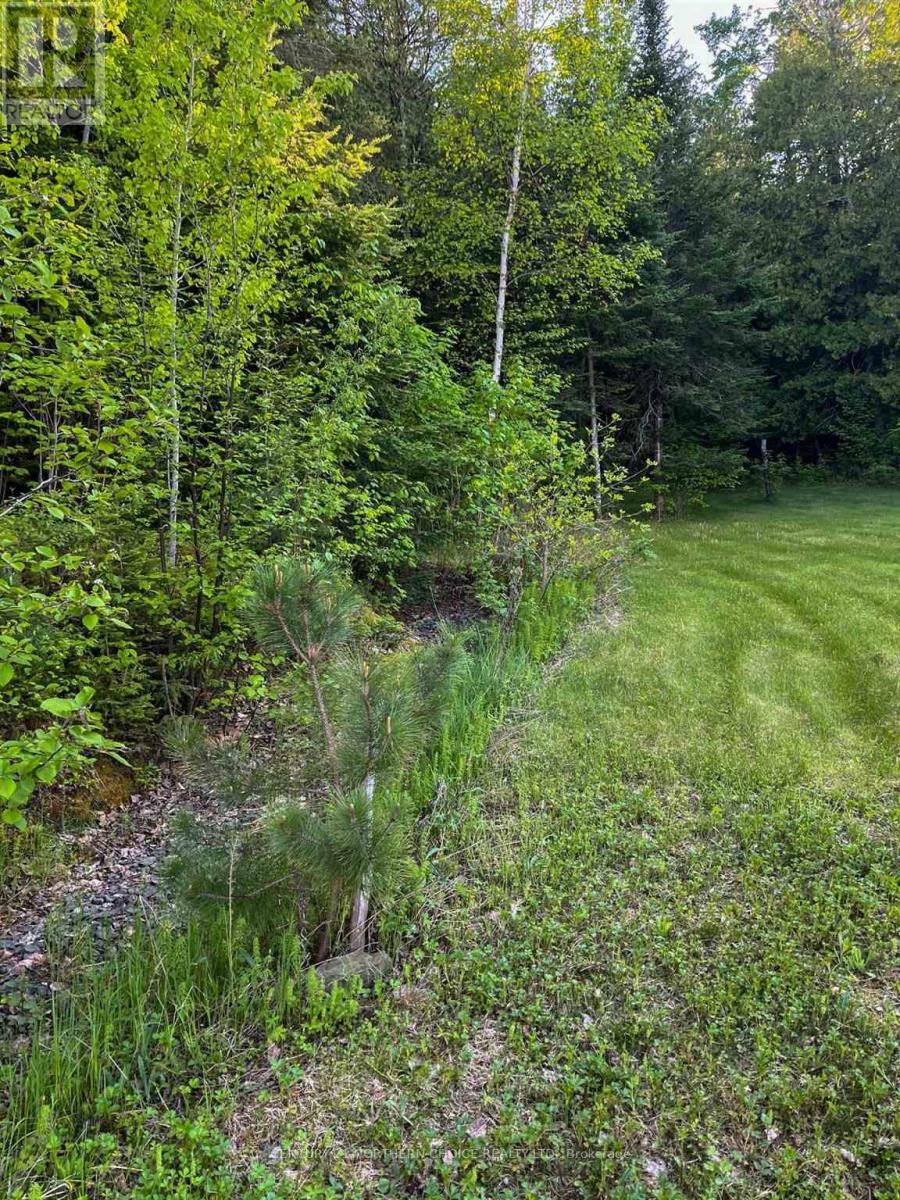11 Hay Island E, Kenora, Ontario  P0X 1H0 - Photo 16 - X13416516