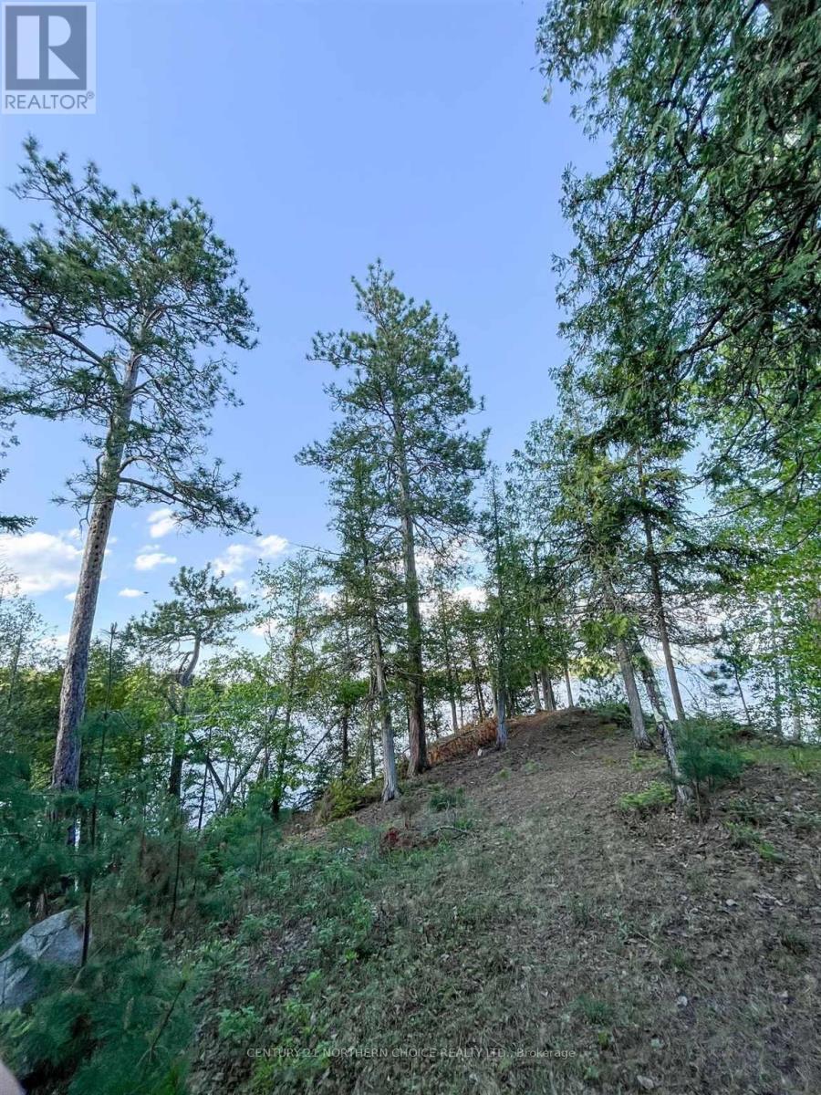 11 Hay Island E, Kenora, Ontario  P0X 1H0 - Photo 2 - X13416516