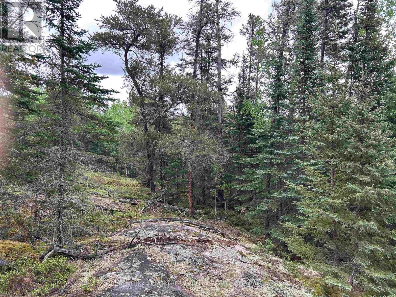 Lot 5 Eagle Bay Road, Kenora, Ontario  P9N 4L3 - Photo 16 - X13414446