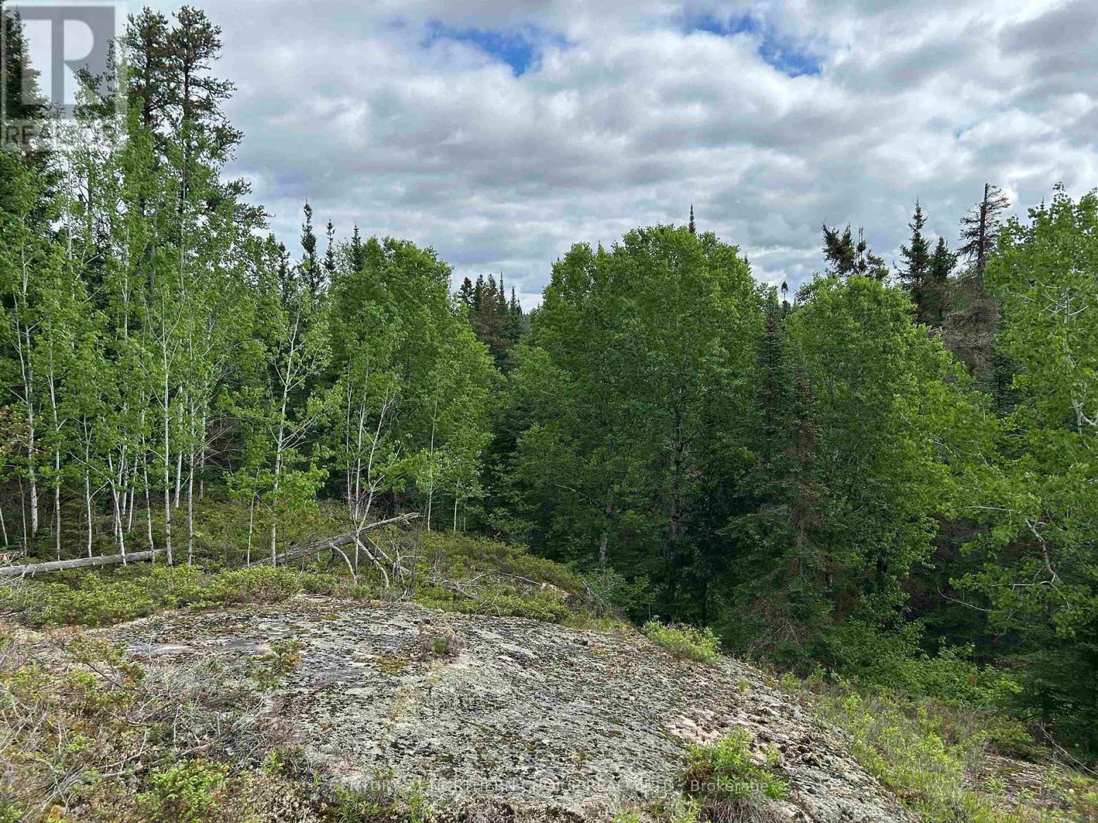 Lot 5 Eagle Bay Road, Kenora, Ontario  P9N 4L3 - Photo 14 - X13414446