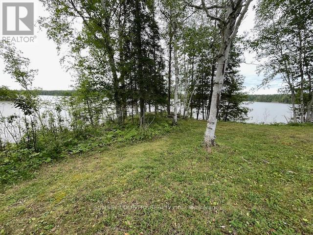 699 Coombes Drive, Kenora Remote Area, Ontario  P8N 2Y5 - Photo 38 - X13245240