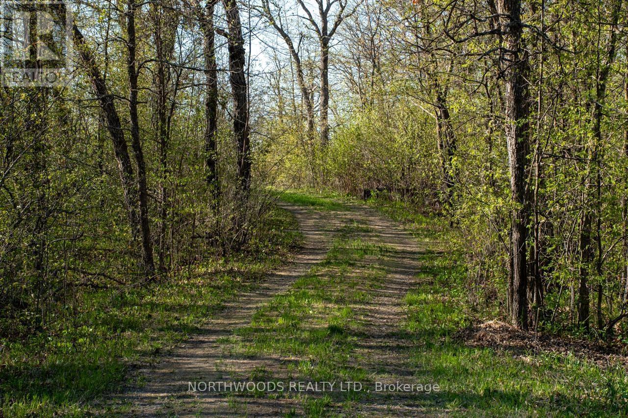 Lot 3 Ivall Drive, Rainy River Remote Area, Ontario  P0W 1L0 - Photo 13 - X13455450