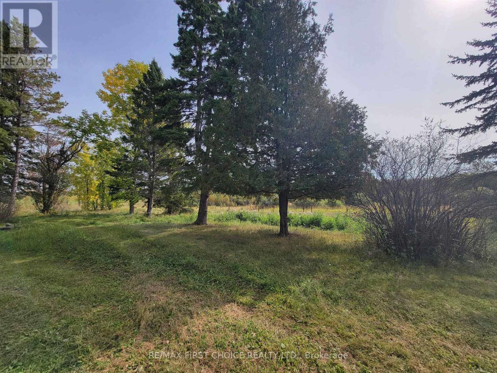 37 Jewett Rd, Morley, Ontario  P0W 1N0 - Photo 14 - X13257780