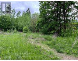 PIN 560490007 HWY 11, Dawson, Ontario