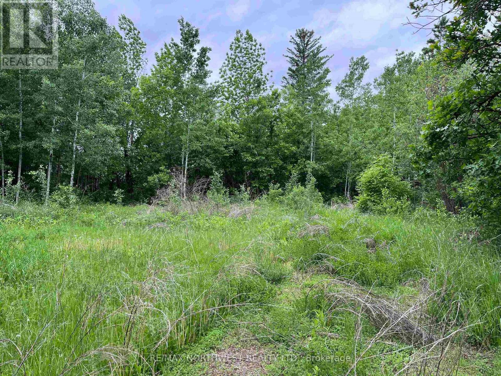 Pin 560490007 Hwy 11, Dawson, Ontario  P0W 1K0 - Photo 2 - X13451766
