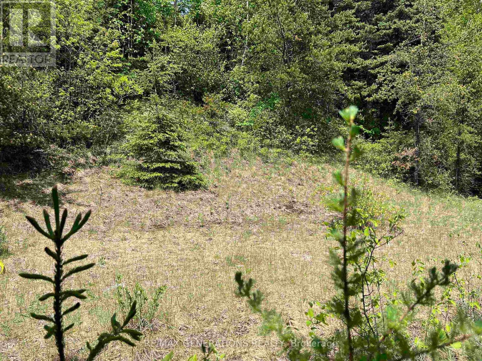 62 Hemlo Drive, Marathon, Ontario  P0T 2E0 - Photo 41 - X13450558