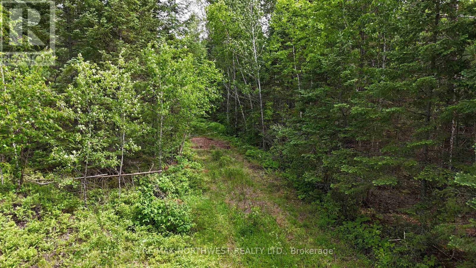 242 Longbow Lake Road, Kenora Remote Area, Ontario  P0X 1H0 - Photo 34 - X13481466
