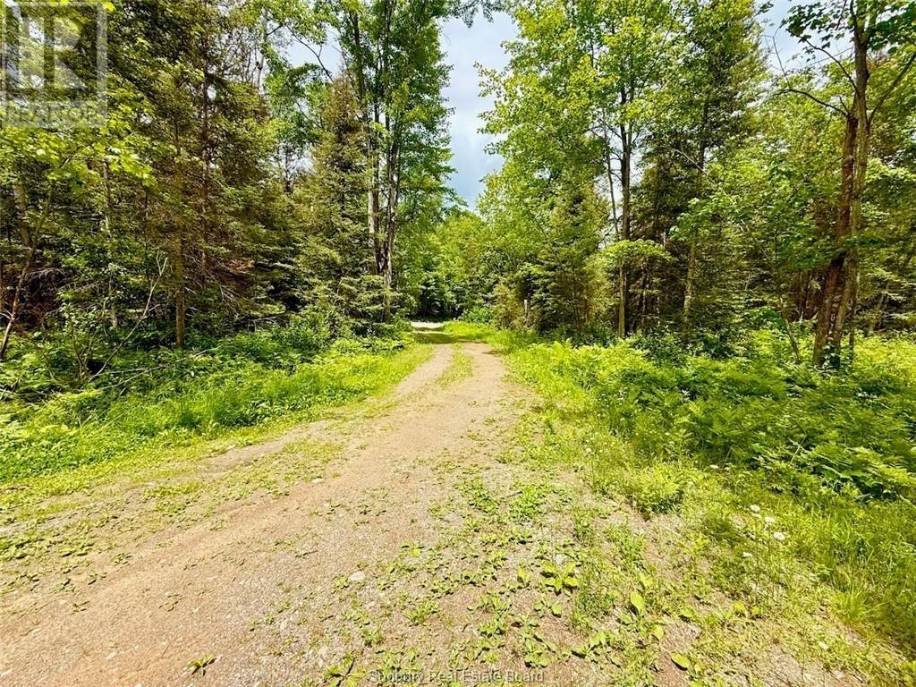 460 Old Webbwood Road, Espanola, Ontario  P5E 1P1 - Photo 20 - 2130081
