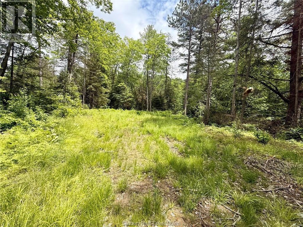 460 Old Webbwood Road, Espanola, Ontario  P5E 1P1 - Photo 4 - 2130081