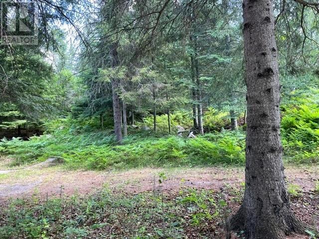 301 Sandy Beach Road, Dryden, Ontario  P8N 0A2 - Photo 22 - X13534670