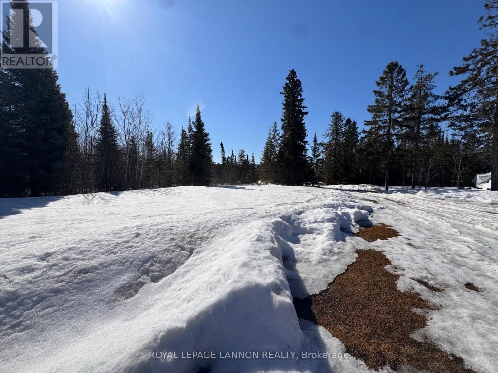 3851 Hwy 588, Thunder Bay Remote Area, Ontario  P0T 2X0 - Photo 13 - X13250406