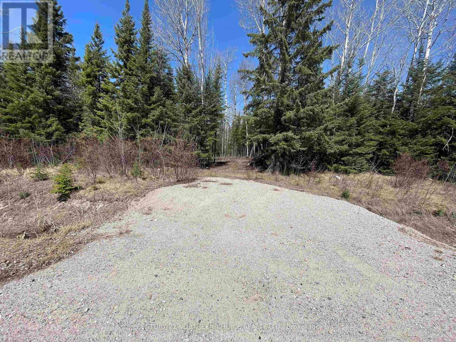 351 Thunder Lake Road, Dryden, Ontario  P8N 2Y4 - Photo 4 - X13251108