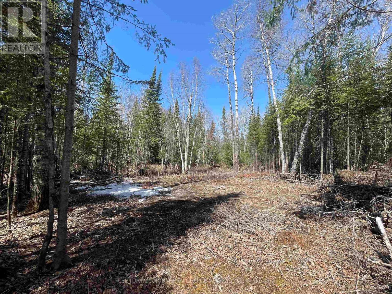 351 Thunder Lake Road, Dryden, Ontario  P8N 2Y4 - Photo 5 - X13251108