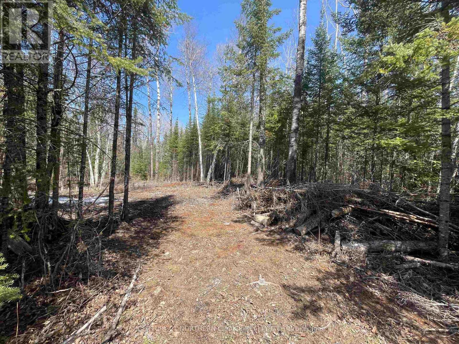351 Thunder Lake Road, Dryden, Ontario  P8N 2Y4 - Photo 6 - X13251108