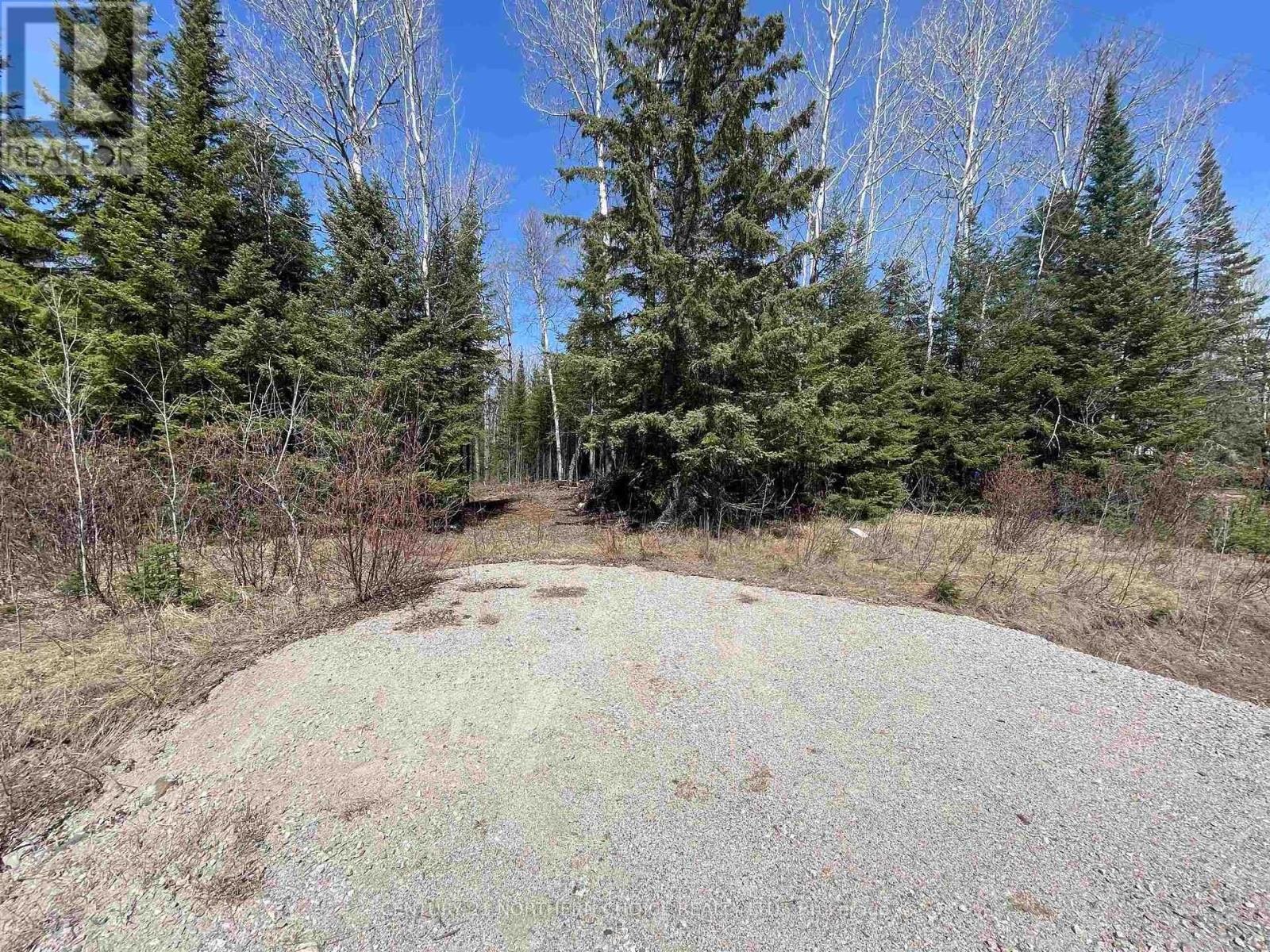 351 Thunder Lake Road, Dryden, Ontario  P8N 2Y4 - Photo 7 - X13251108