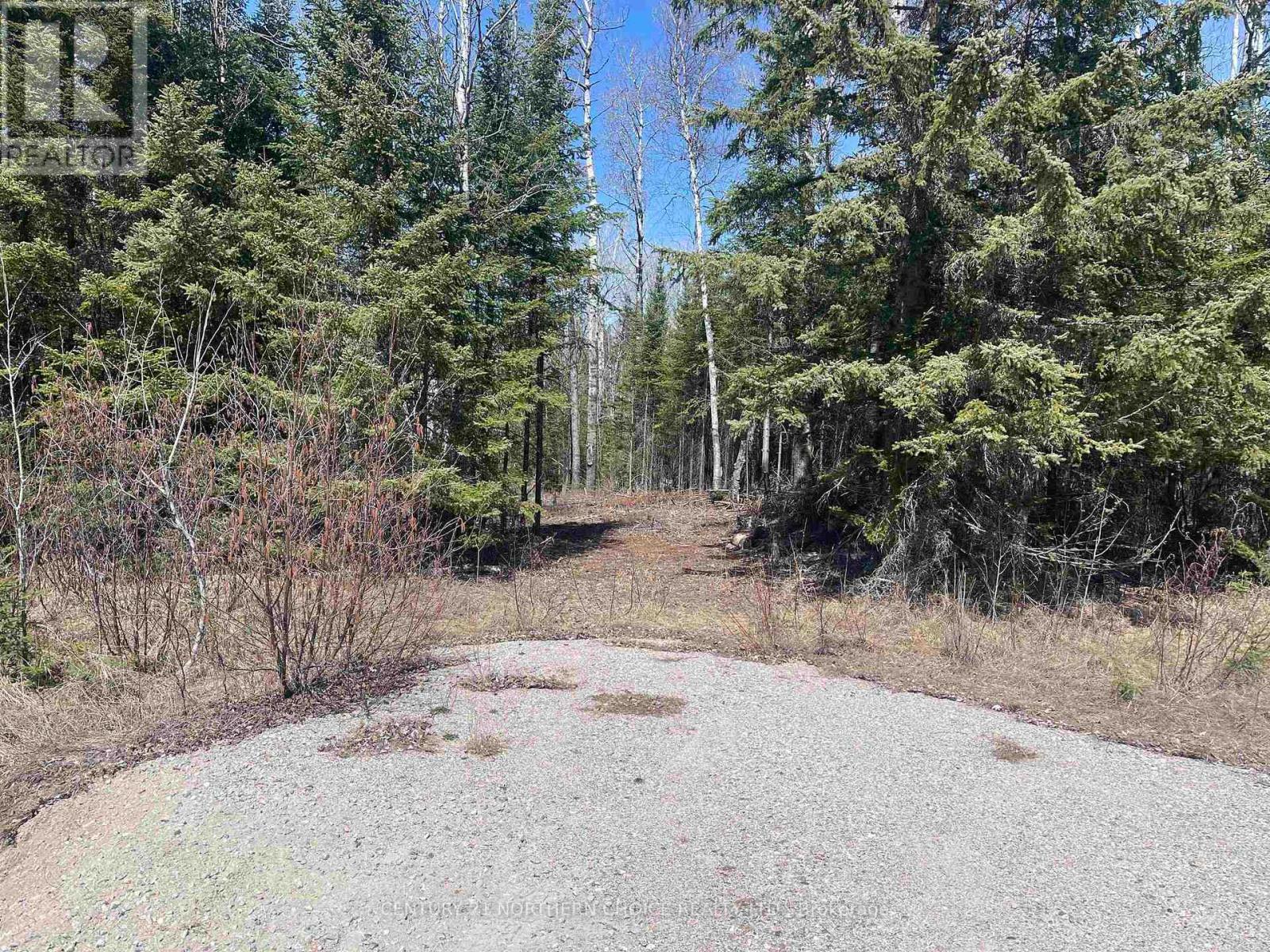 351 Thunder Lake Road, Dryden, Ontario  P8N 2Y4 - Photo 8 - X13251108