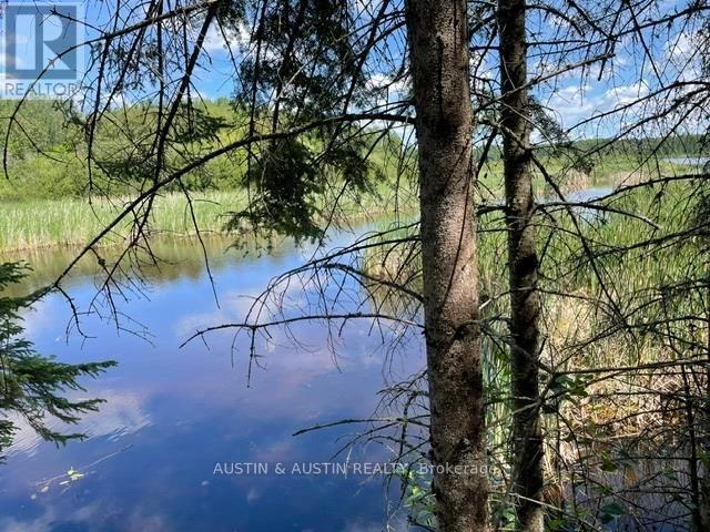 301 Sandy Beach Road, Dryden, Ontario  P8N 0A2 - Photo 23 - X13534670