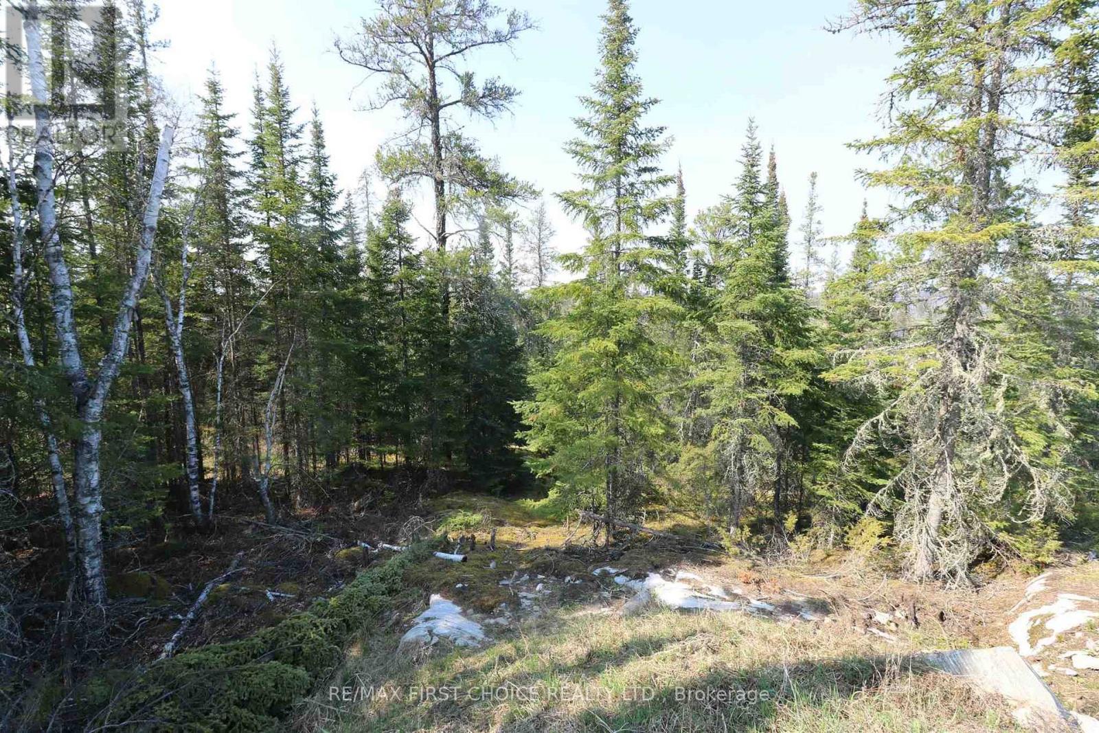 Lot 2 Lougheed Drive, Kenora, Ontario  P0X 1C0 - Photo 22 - X13254160