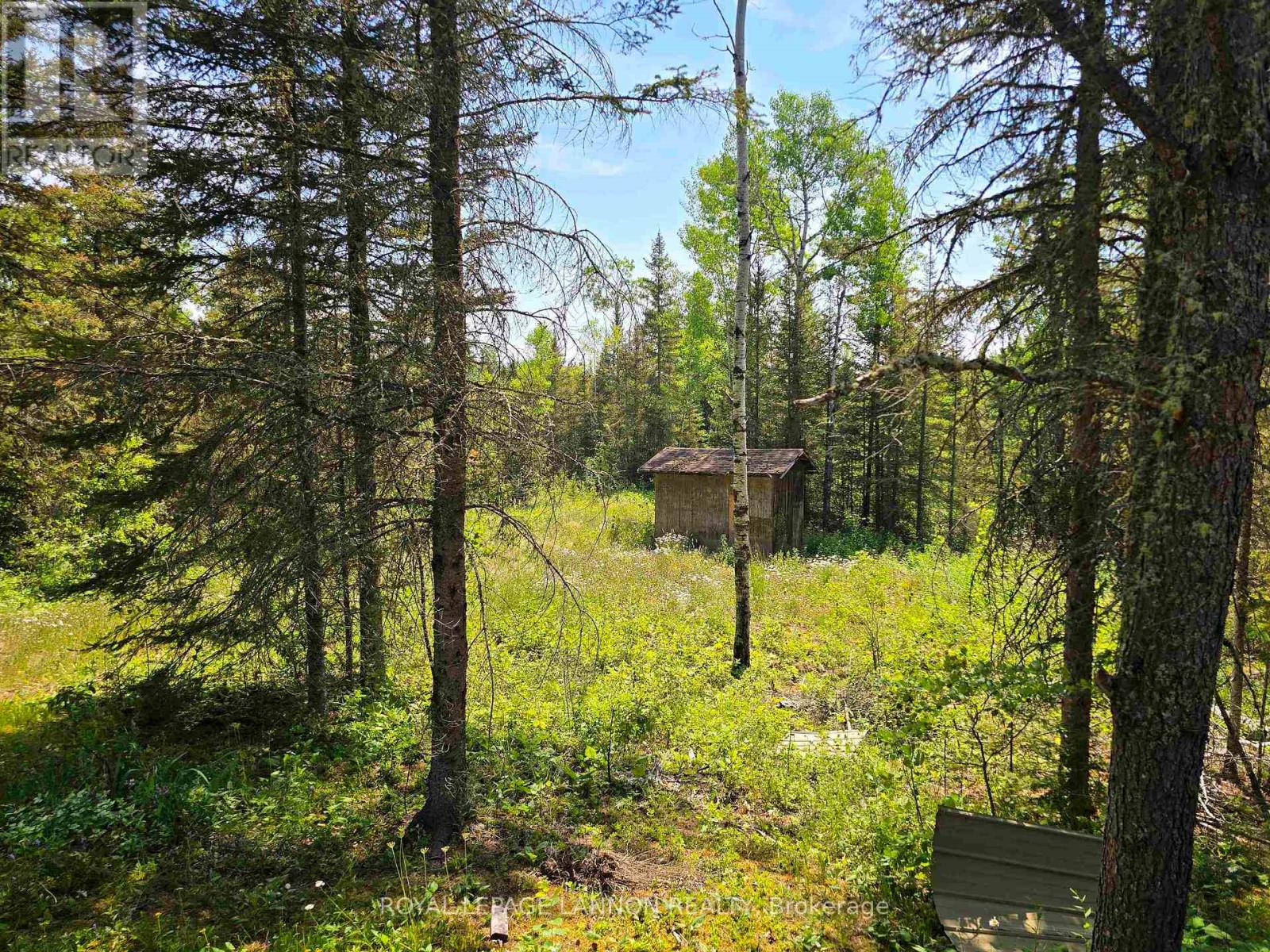 69 Niemi Road, Thunder Bay Remote Area, Ontario  P0T 1X0 - Photo 5 - X13561206